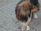 Dscn1881.jpg (44653 byte)