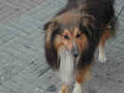 Dscn1882.jpg (39850 byte)