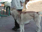 Dscn1885.jpg (38605 byte)
