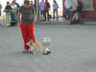 Dscn1888.jpg (35113 byte)