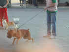 Dscn1889.jpg (29428 byte)