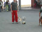 Dscn1890.jpg (38244 byte)