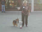 Dscn1891.jpg (30833 byte)